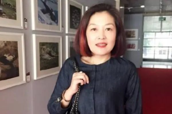 网友：这个女人家世真的不简单，哈文究竟有何强大家庭背景？