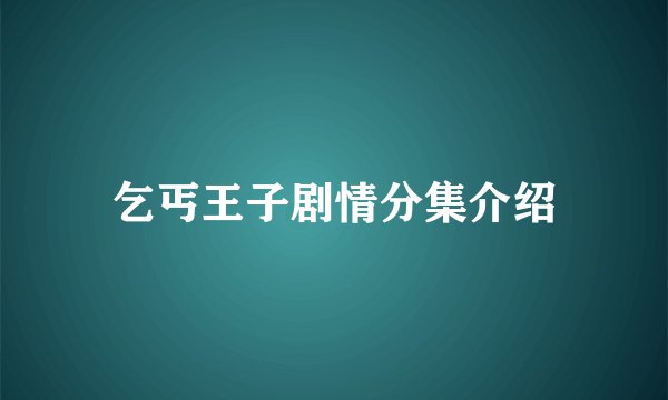 乞丐王子剧情分集介绍