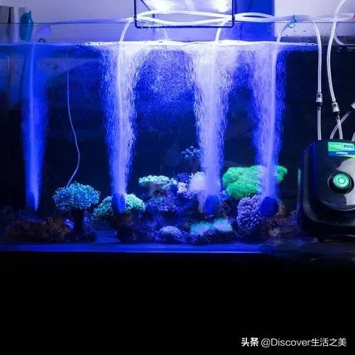 鱼缸增氧泵开的越大越好吗？