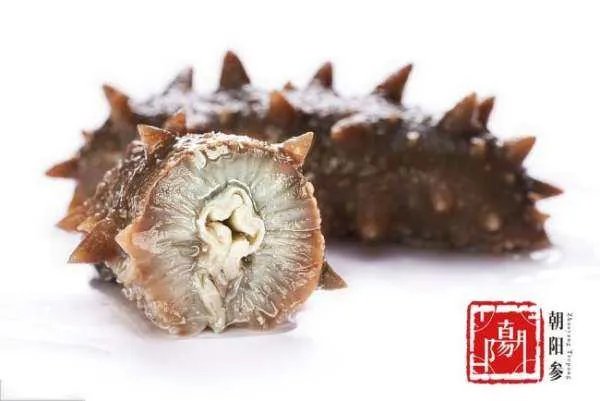 大连即食海参价格是多少？
