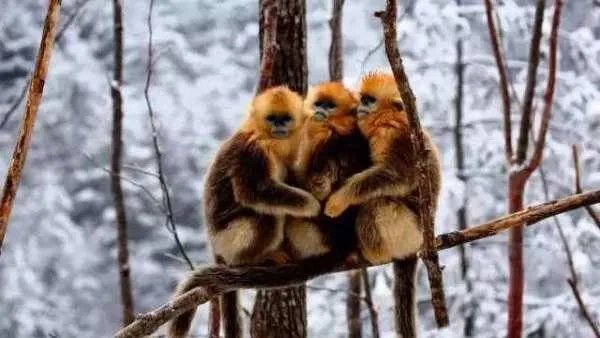 冬天适合自驾游的地方，求推荐几个？