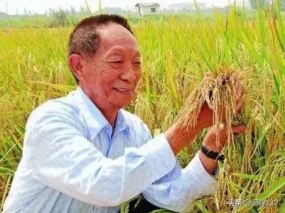 当青少年励志当网红的时候，是教育的进步还是失败？