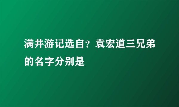 满井游记选自？袁宏道三兄弟的名字分别是