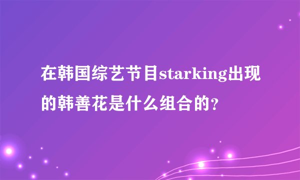 在韩国综艺节目starking出现的韩善花是什么组合的？