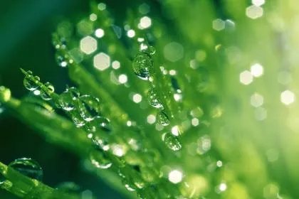 2020年惊蛰前一日可以迁坟吗？迁坟有什么讲究和忌讳？