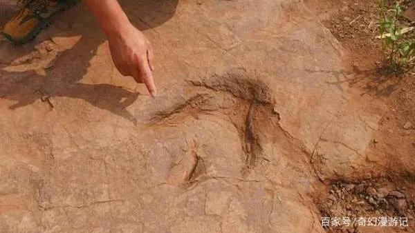 如果没有史前文明，20亿年前出现的核反应堆，该怎么解释？