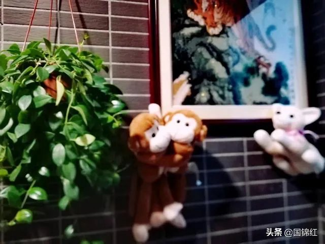 你独自一人在家，会做什么呢？