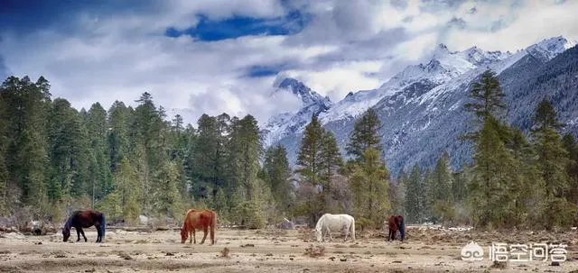 你觉得国内哪些旅游景点是摄影创作团队最爱去的？