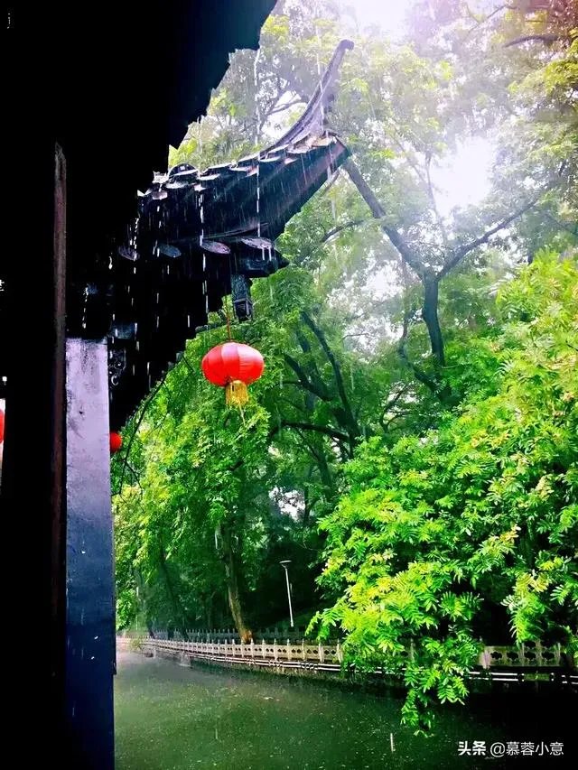 现在种植什么药材能够赚钱？