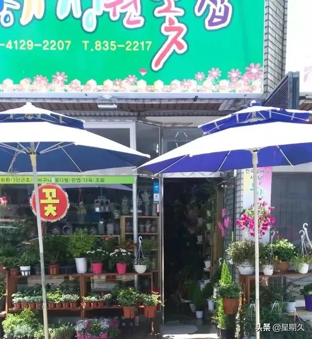 韩国生活怎么样？为什么有人说去一趟就不想再去了？