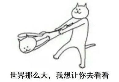 旅行青蛙为什么这么火 为什么大家都在玩青蛙游戏