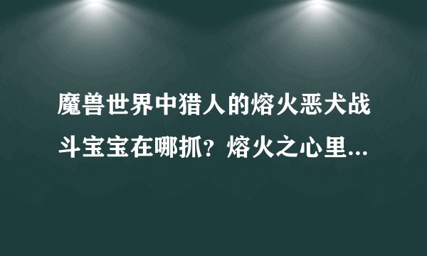 魔兽世界中猎人的熔火恶犬战斗宝宝在哪抓？熔火之心里的不能抓啊