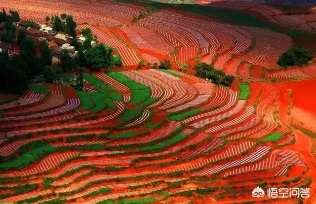 你觉得国内哪些旅游景点是摄影创作团队最爱去的？