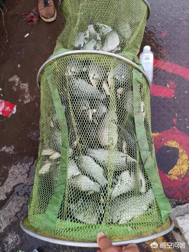 哪里有比较幽静的钓鱼的地方？