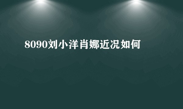 8090刘小洋肖娜近况如何