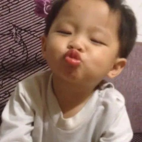 已投档是不是被录取？