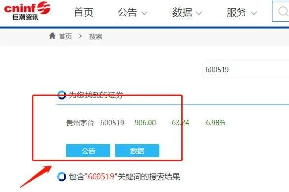 巨潮资讯网查上市公司年报