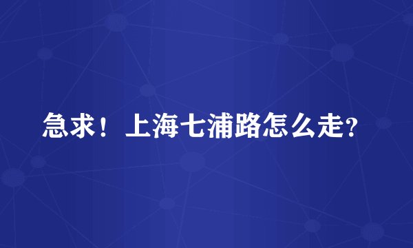 急求！上海七浦路怎么走？