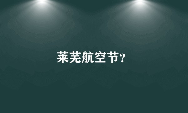莱芜航空节?