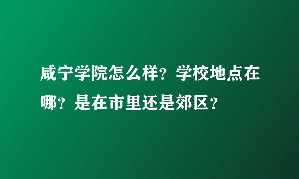 咸宁学院怎么样？学校地点在哪？是在市里还是郊区？