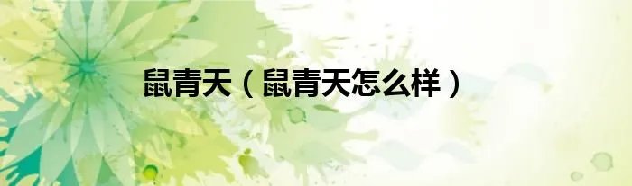 鼠青天（鼠青天怎么样）