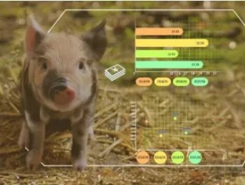 5G时代来临，“云养殖”变成现实？在家就能养“牛”