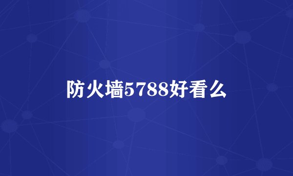 防火墙5788好看么