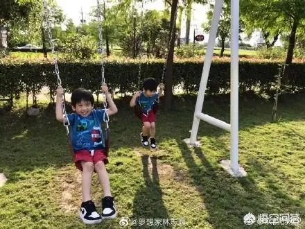 这些当红明星家的双胞胎，你认为谁家的最可爱？