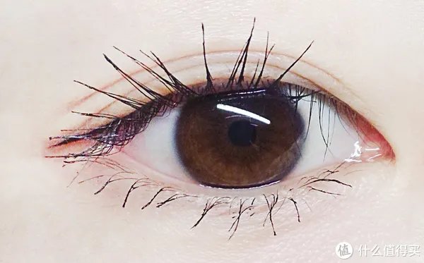 喵酱评测|14支睫毛膏，真人吐血测评！