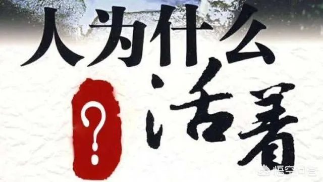 你看到过哪些神评论？