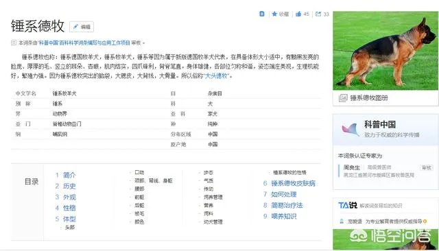 对于“锤系德牧”你怎么看？