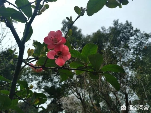 在南宁做快餐行业什么样？主要是外面方面的？