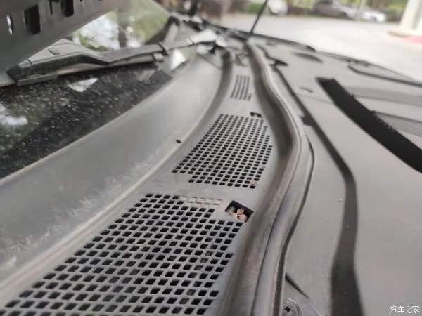 我的选择,我喜欢,因为是你,我的红旗H5