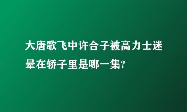 大唐歌飞中许合子被高力士迷晕在轿子里是哪一集?