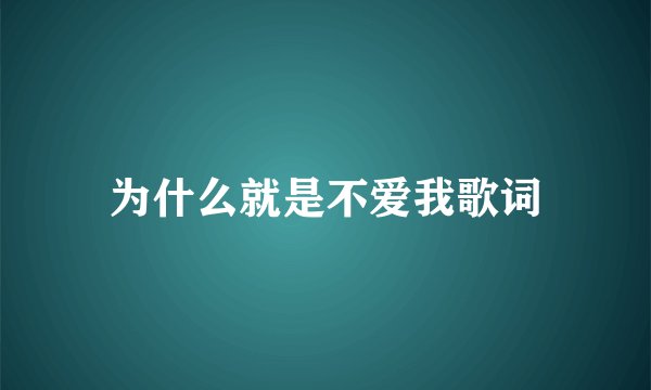 为什么就是不爱我歌词