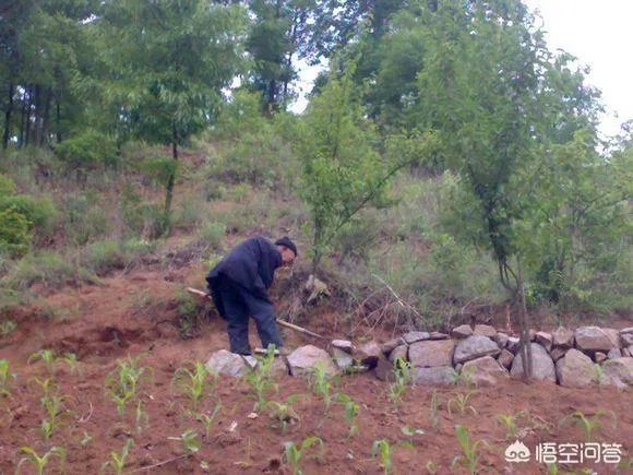 农村户口是不是越来越值钱了，有没有可能将来会有大批城市居民流入乡村？