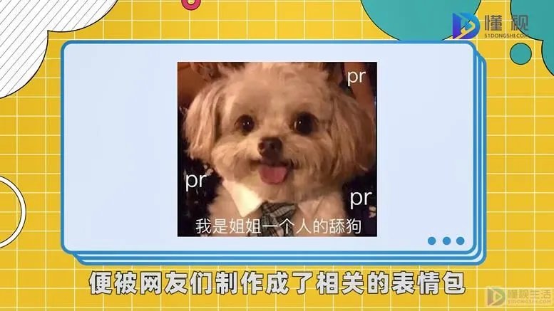 舔狗是什么意思呢