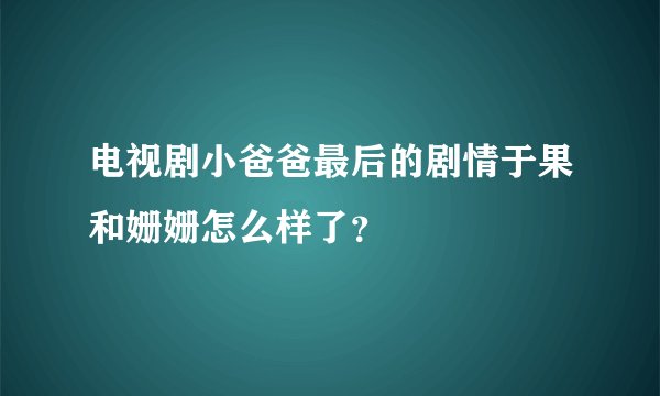 电视剧小爸爸最后的剧情于果和姗姗怎么样了？