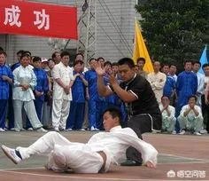 如何评价太极推手？