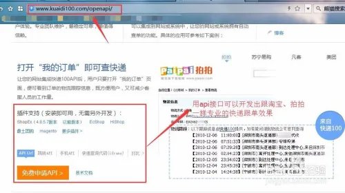 快递100的快递查询窗口如何调用到自己的网站?