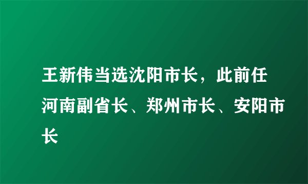王新伟当选沈阳市长，此前任河南副省长、郑州市长、安阳市长