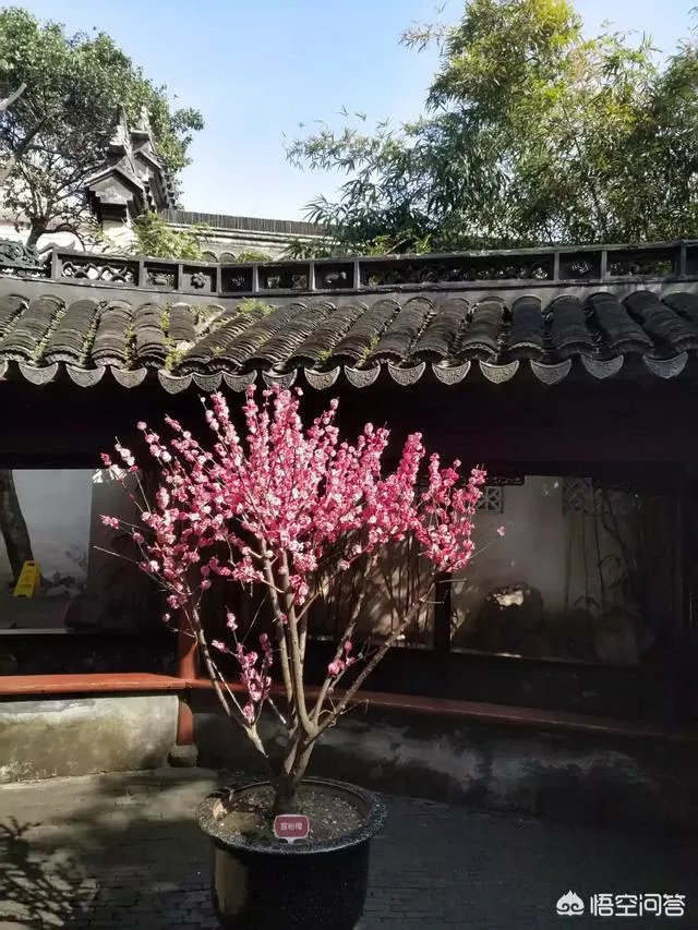 上海的豫园好玩吗？值得一去吗？