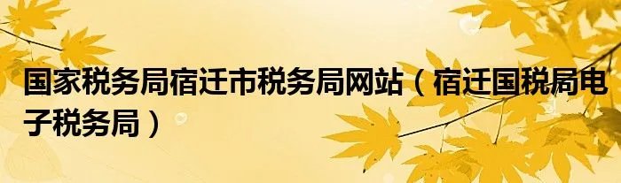 国家税务局宿迁市税务局网站（宿迁国税局电子税务局）