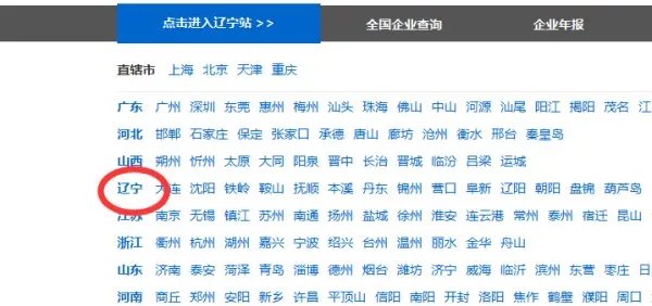 辽宁工商局网上年检