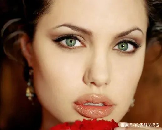 安吉丽娜朱莉暴瘦好憔悴，全身骨感青筋凸起，你喜欢她吗？