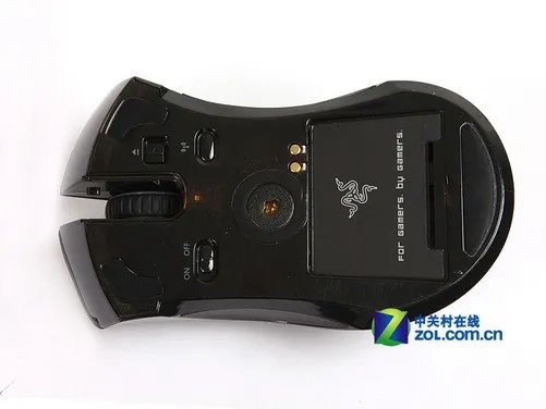 自己动手换微动  老曼巴眼镜蛇起死回生