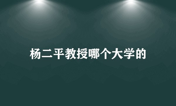 杨二平教授哪个大学的