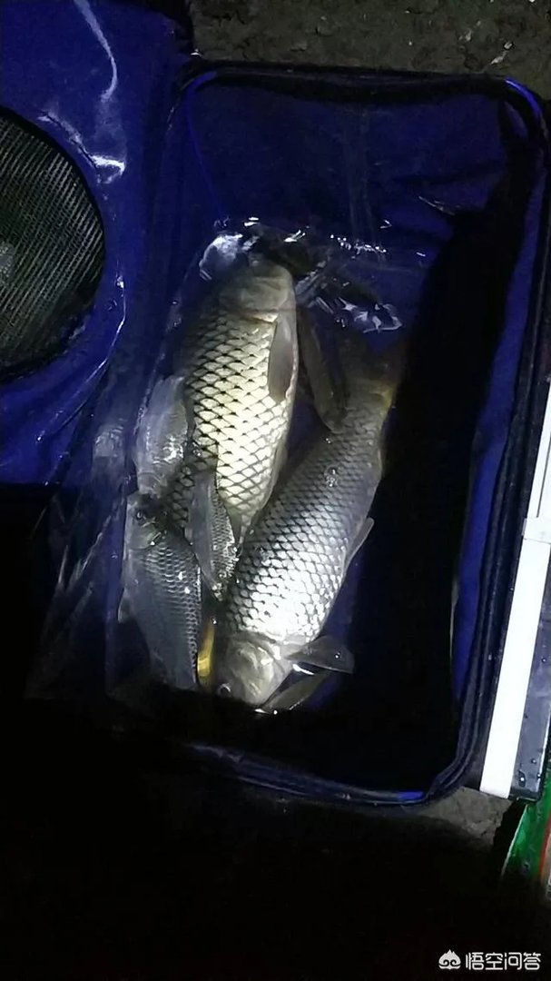 哪里有比较幽静的钓鱼的地方？