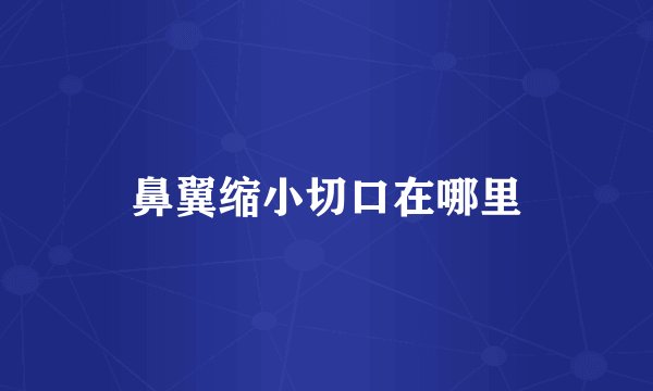 鼻翼缩小切口在哪里