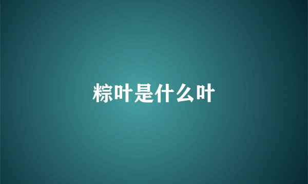粽叶是什么叶